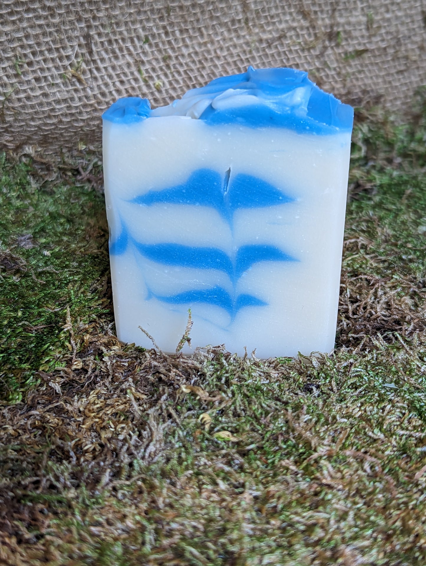 BEACH WAVES CLASSIC BAR SOAP