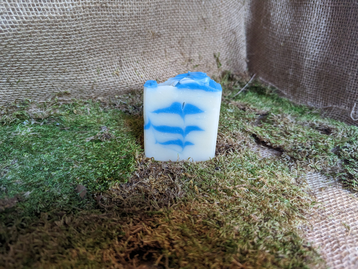 BEACH WAVES CLASSIC BAR SOAP