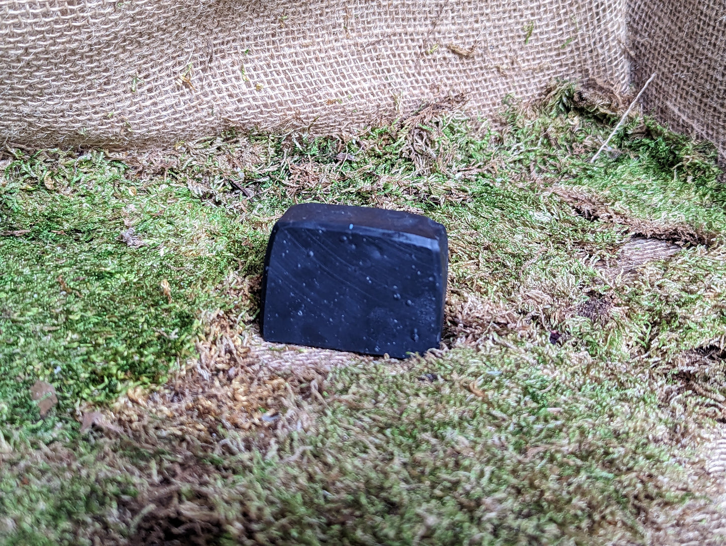 CLARIFYING MILK & ALOE FACE BAR
